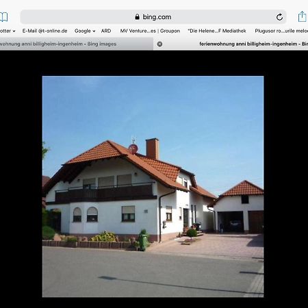 „Ferienwohnung Anni“ Billigheim-Ingenheim Buitenkant foto